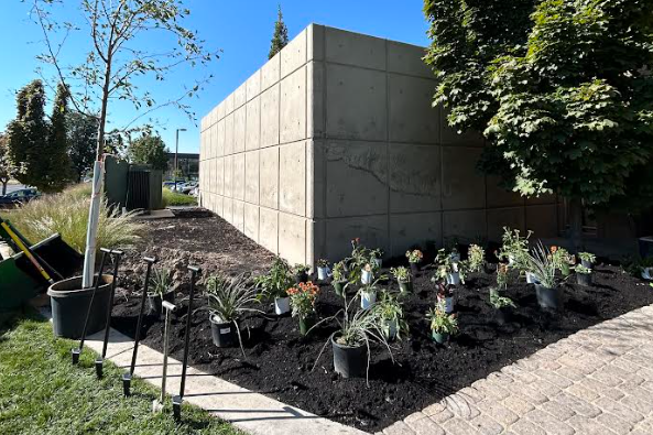 Water Conservation Garden - 4